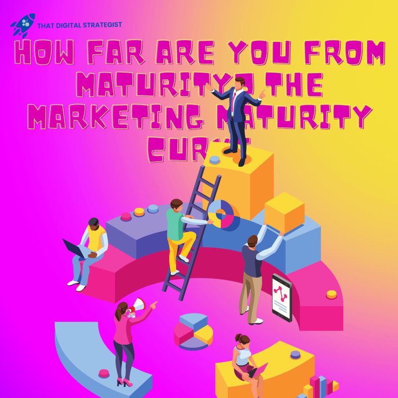 How Far Are You From Maturity? The Marketing Maturity Curve , Determine Company Maturity, factors affecting company maturity