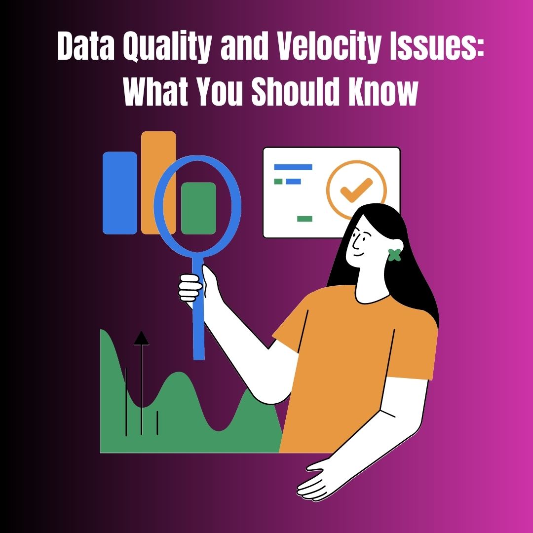 Data Quality and Velocity Issues: What You Should Know